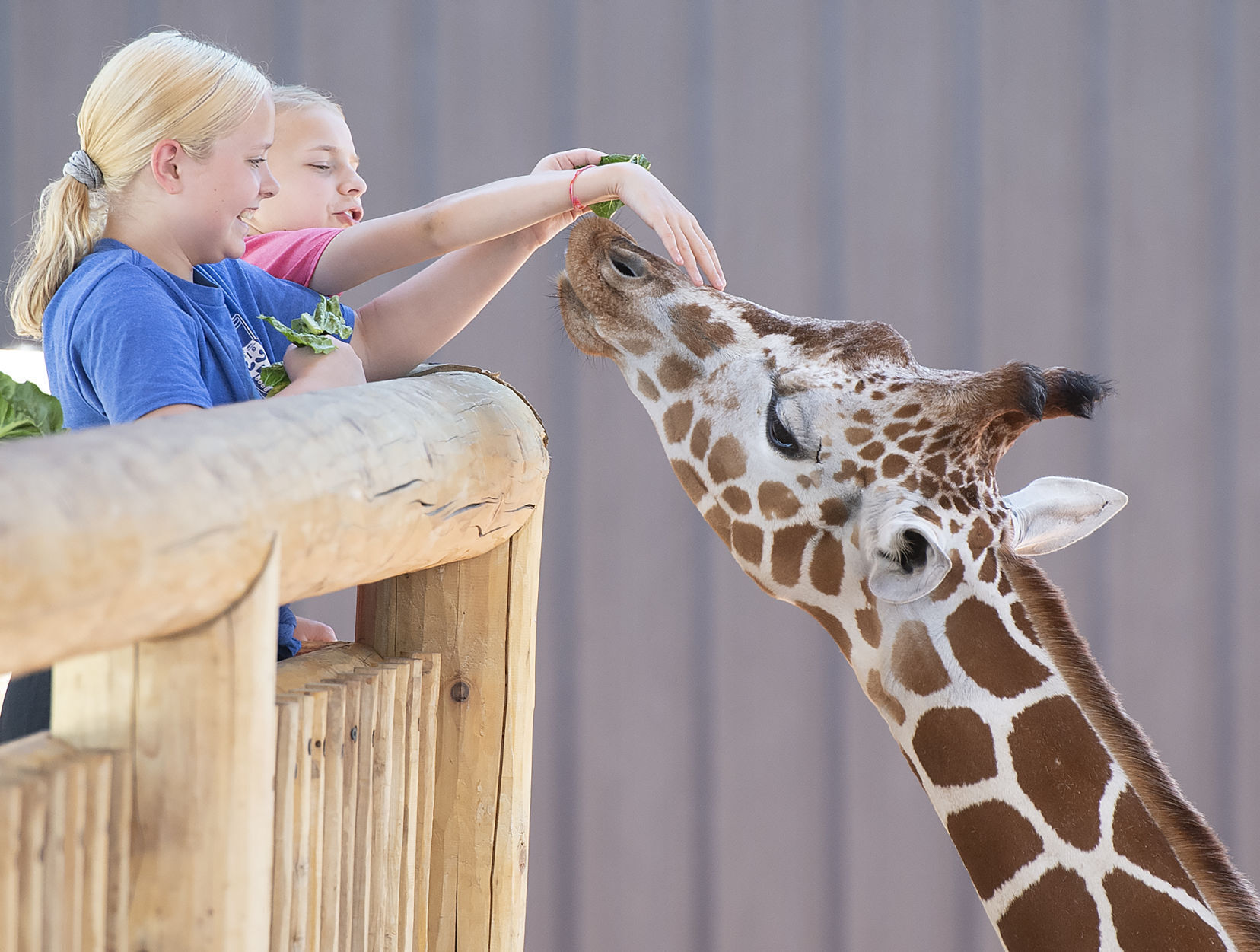 No. 4: Lincoln Children's Zoo